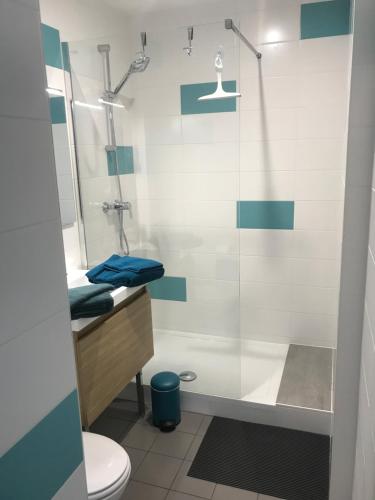 un bagno con doccia e WC di Les Papoulis a Saint-Laurent-sur-Sèvre