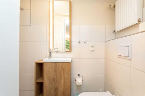 een badkamer met een wastafel, een spiegel en een toilet bij Naturidyll Mariendorf - Reethus Rotbuche in Mariendorf