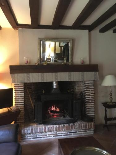 a living room with a fireplace with a mirror at La Ferme de Montboulan in Salbris