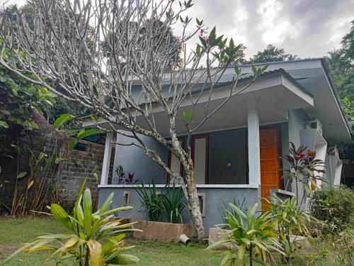 a house with a tree in front of it at Tangkoko Ranger Homestay in Bitung
