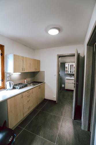 a kitchen with wooden cabinets and an open door at Chaty a Apartmány Hracholusky Kemp Kosatka in Pňovany