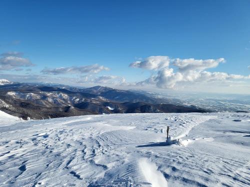 a view of a snow covered slope with a mountain at Pensiunea Mountain Pearl in Deseşti