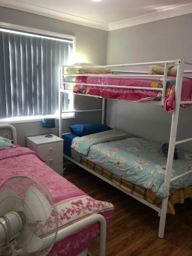 a bedroom with two bunk beds and a window at Mystic Blue and Green Meadow in Nowra
