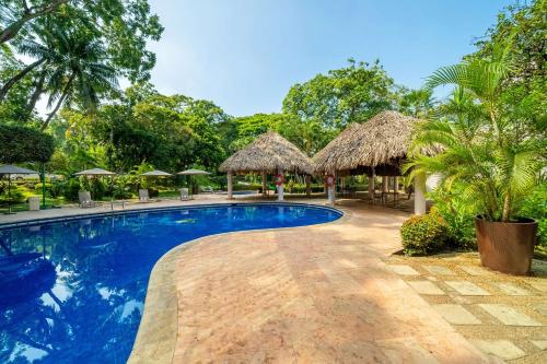 Kolam renang di atau dekat dengan Hyatt Regency Villahermosa