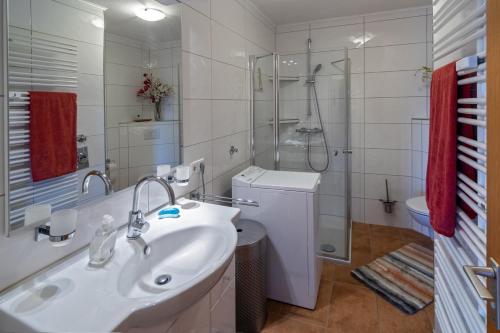 La salle de bains est pourvue d'un lavabo, d'une douche et de toilettes. dans l'établissement Strandflieder, à Dornumersiel