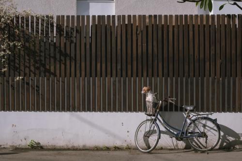 a bike parked next to a fence with a dog in a basket at Shu Sia in Hengchun