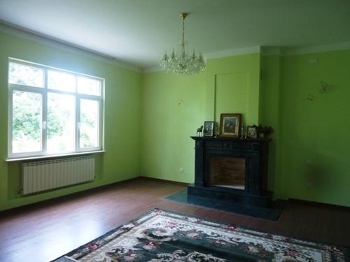 an empty living room with green walls and a fireplace at Batumi Green Cape Guest House in Makhinjauri