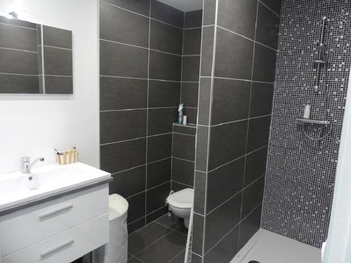 a bathroom with a shower with a toilet and a sink at Appartement 30 m2 neuf + terrasse in Brindas