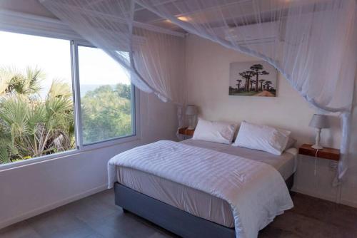 a bedroom with a bed and a large window at Coral Tree Surf Cottage - Tofinho, Tofo in Praia do Tofo