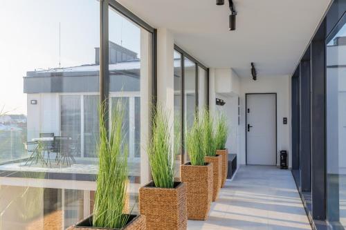 Μπαλκόνι ή βεράντα στο Noir Hotel - Penthouse Apartman