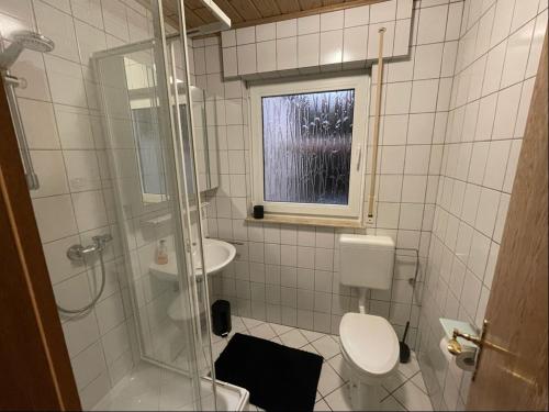baño con ducha y aseo y ventana en Relaxen am Ring Fewo 1, en Wimbach