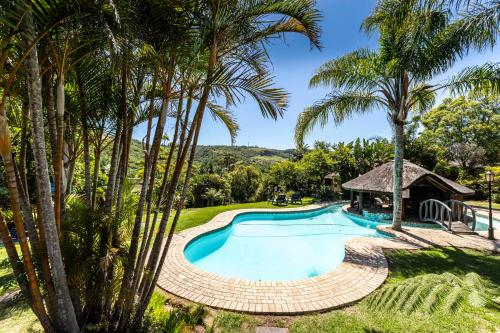 an overhead view of a pool with a gazebo and palm trees at Fish Eagle Manor in East London