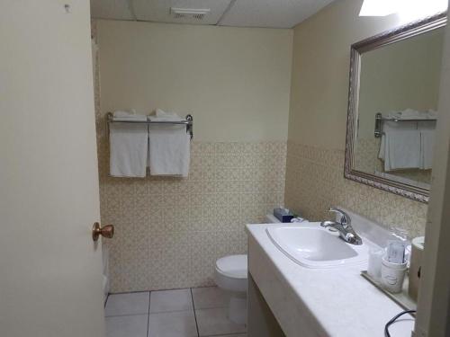 a bathroom with a sink and a toilet and a mirror at Owen Sound Inn in Owen Sound