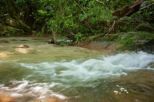 a stream of water in a river with trees at Rain Forest Inn in Ringlet