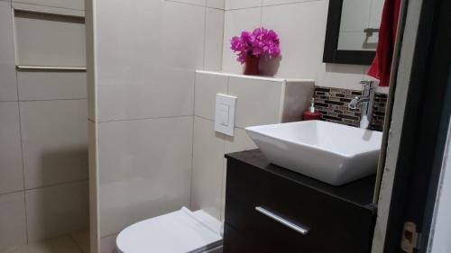 een witte badkamer met een wastafel en een toilet bij CG Apartment - Flamboyan in Willemstad