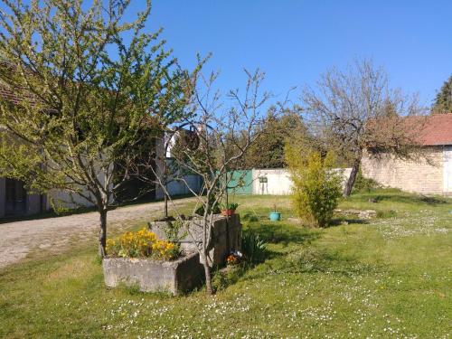 a garden with trees and flowers in a yard at 2 chambres privées au calme - Quartier Université in Dijon