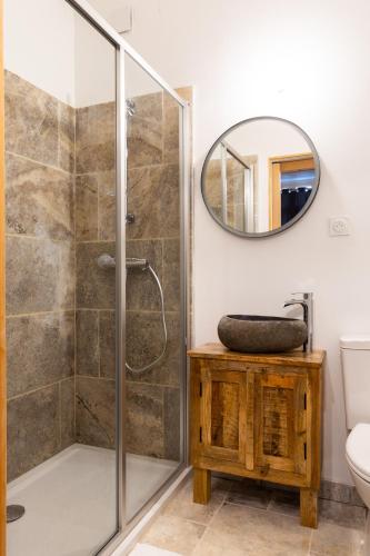 une salle de bain avec douche et miroir dans l'établissement Le Souplex du Tanneur, à Saint-Aignan