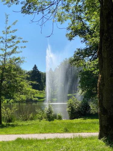 a fountain in the middle of a park with a body of water at Café-Hotel Gutshof in Neunkirchen