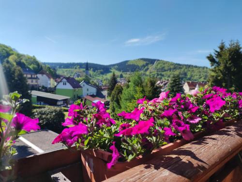 Příroda nedaleko apartmánu