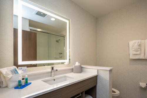 a bathroom with a sink and a mirror at Holiday Inn Express & Suites Charlottesville by IHG in Charlottesville