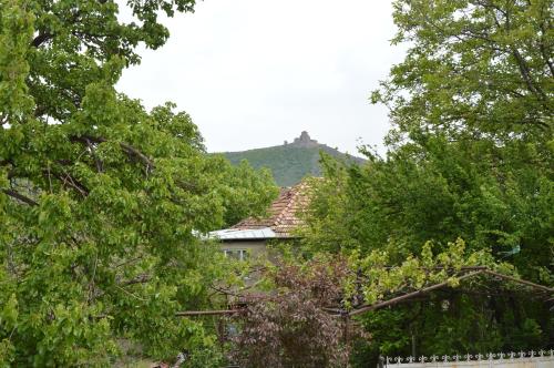 a house obscured by trees with a hill in the background at Hotel Bagineti in Mtskheta