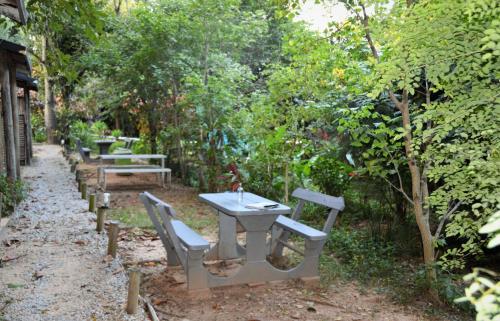 a row of picnic tables and benches in a forest at Hazyview Adventure Backpackers in Hazyview