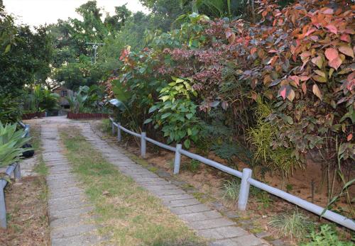 a stone path in a garden with a bush at Hazyview Adventure Backpackers in Hazyview