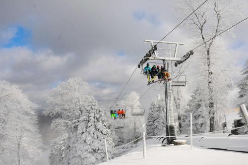 Swiss Mtn Condo 3 Mi to Seven Springs Resort v zimě