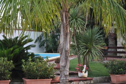 Villa Rosi Fiusco – Photos 2