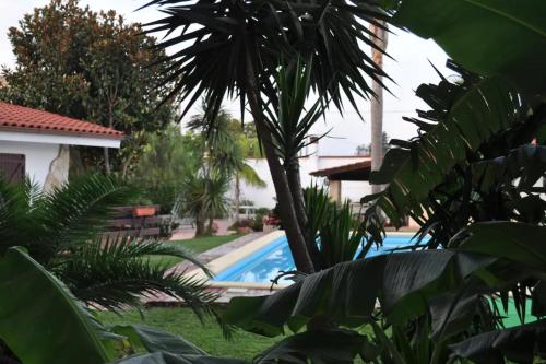 Villa Rosi Fiusco