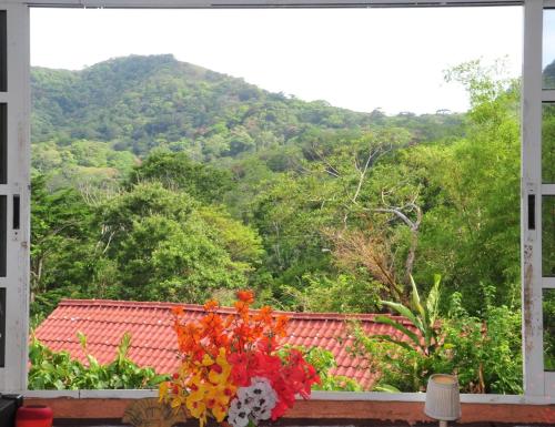 a window with a view of a mountain at Cabañas Ecobiosfera in Catemaco
