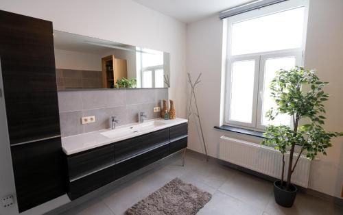 uma casa de banho com um lavatório e um espelho grande em Brasserie Sint Pieter em Rekem
