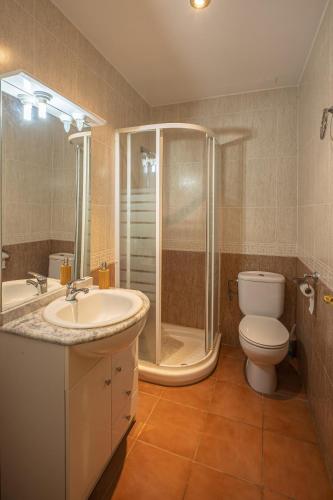 a bathroom with a shower and a toilet and a sink at Casas Santos y Tolta in Loarre