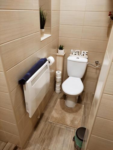 une petite salle de bains avec toilettes et radiateur dans l'établissement FAND Center Apartman, à Szeged