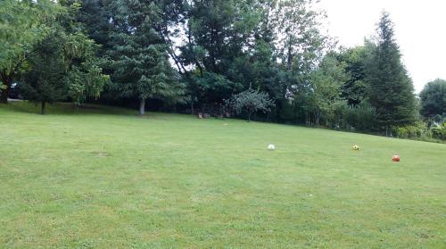 a large grass field with balls in the grass at Las Navedas in Santibáñez de Villacarriedo