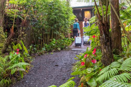 Volcano Village Lodge – Photos 3