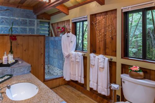 a bathroom with a sink and a toilet and windows at Volcano Village Lodge in Volcano