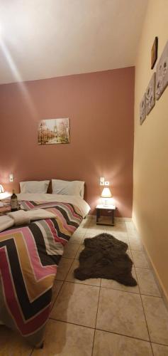 1 dormitorio con 2 camas y alfombra en el suelo en panos rooms en Kalabaka