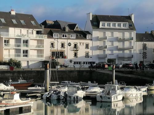 a group of boats docked in a marina with buildings at La Bulle d'Etel, Chambres & Spa in Étel