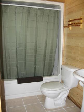 ein Bad mit einem WC, einer Dusche und einem Waschbecken in der Unterkunft Tschurtschenthaler Rentals in Golden