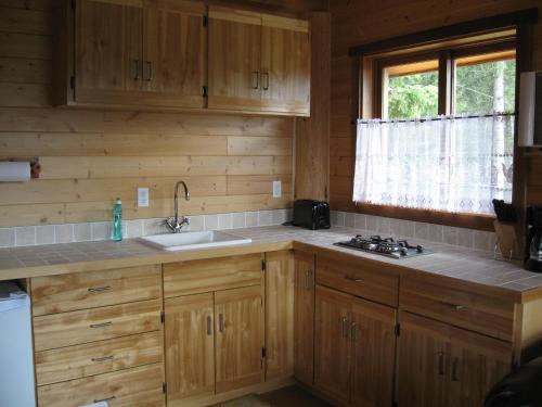 eine Küche mit Holzschränken und einem Waschbecken in der Unterkunft Tschurtschenthaler Rentals in Golden