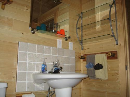 bagno con lavandino e servizi igienici di Tschurtschenthaler Rentals a Golden
