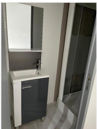 a small bathroom with a sink and a shower at Studio 1 pièce in Bussang