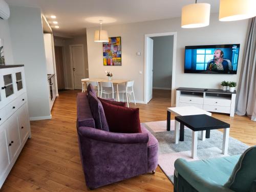 Μια τηλεόραση ή/και κέντρο ψυχαγωγίας στο Apartamentai Elija su vaizdu į jūrą