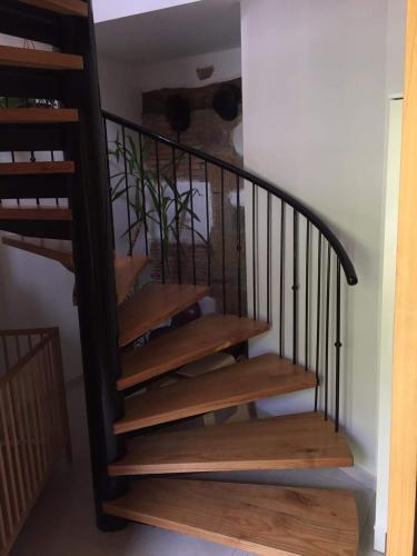 a wooden spiral staircase with a plant on it at Las Navedas in Santibáñez de Villacarriedo