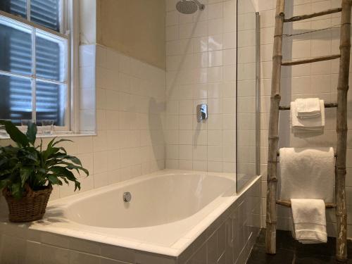 a bathroom with a tub and a potted plant at 3 Queen Street in Calitzdorp