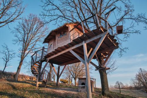 a tree house sitting on top of a tree at Treehouse Křemílek in Jesenice