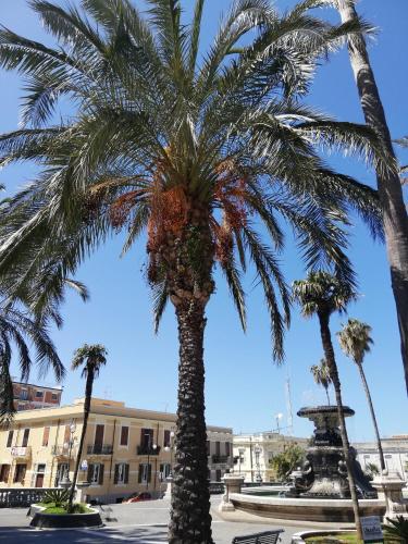 a palm tree in front of a building at Appartamento City in Palmi