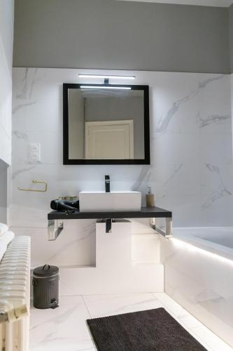 une salle de bain avec un lavabo et un miroir dans l'établissement LES BC BG, à Charleville-Mézières