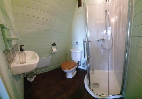 a bathroom with a shower and a toilet and a sink at Ty Cnocell in Boncath